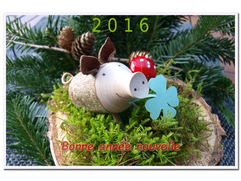 Silvester2015-3